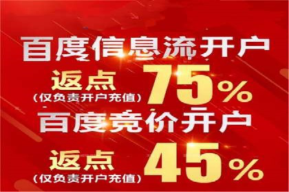 网络推广策略：竞价广告的实践案例